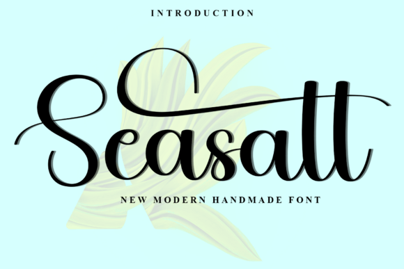 Seasalt Font Review: A Soft, Unique Script for Modern Campaigns