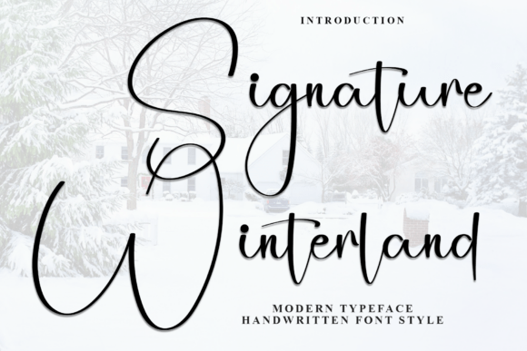 Signature Winterland Font: Elevating Your Digital Brand's Typography